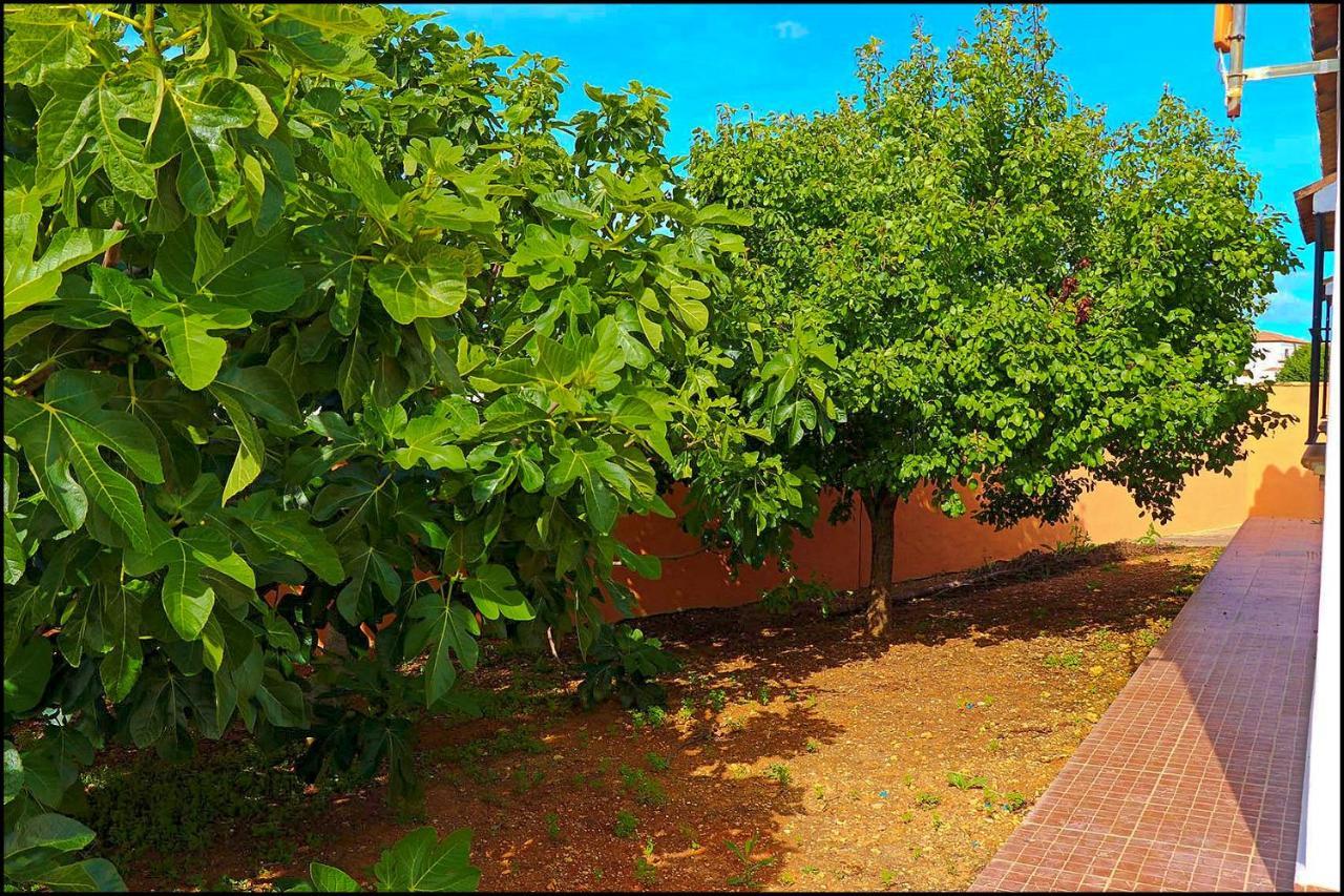 Chalet Rustico Roche Conil De La Frontera Εξωτερικό φωτογραφία